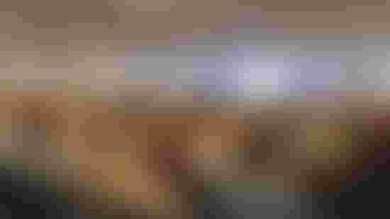 04-09-2025-BOD-den-2-22.jpeg